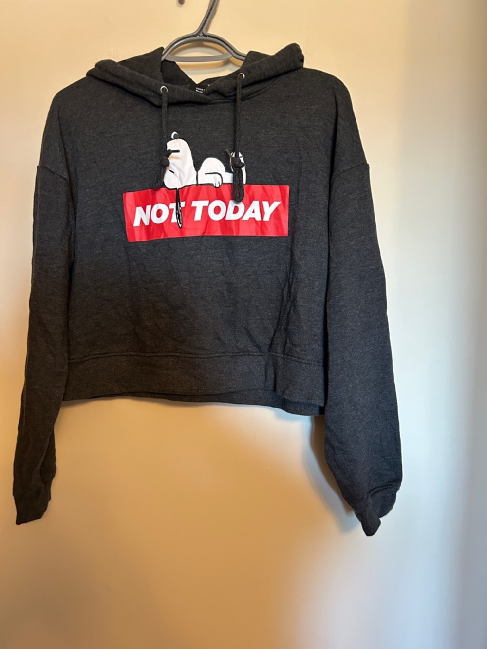 Peanuts dark grey waist length sweatshirt hoodie size L very good condition